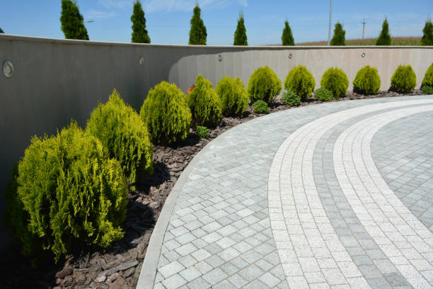 Best Driveway Repair Near Me  in Adamstown, MD